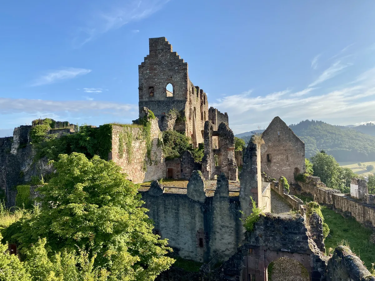 Die Ruinen einer alten Burg sind umgeben von üppigem Grün und Bäumen, mit teilweise freistehenden Mauern und einem klaren blauen Himmel im Hintergrund. Einige Teile der Burg sind zerfallen, während andere noch intakt sind und die Geschichte der ehemaligen Festung widerspiegeln.