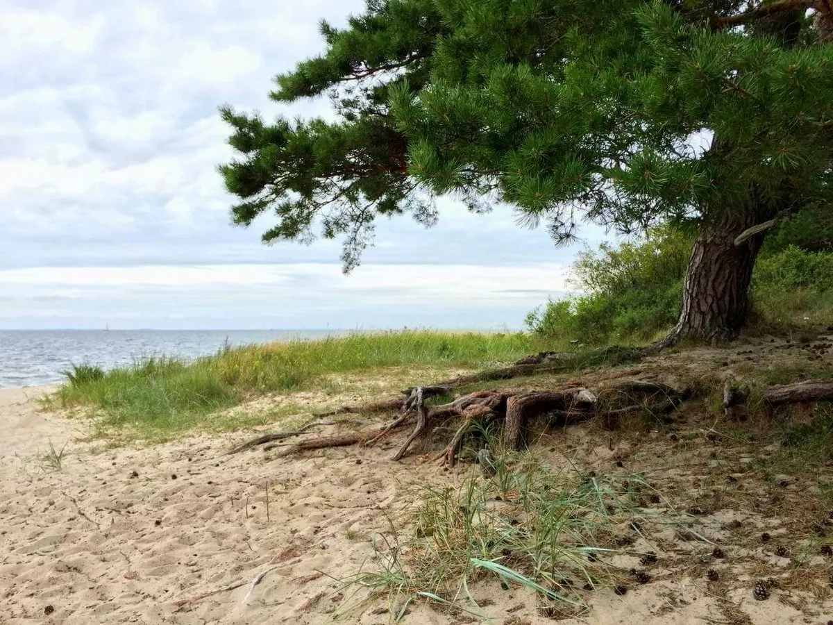 Schöner Strandabschnitt an der Ostsee, Nähe Lubmin