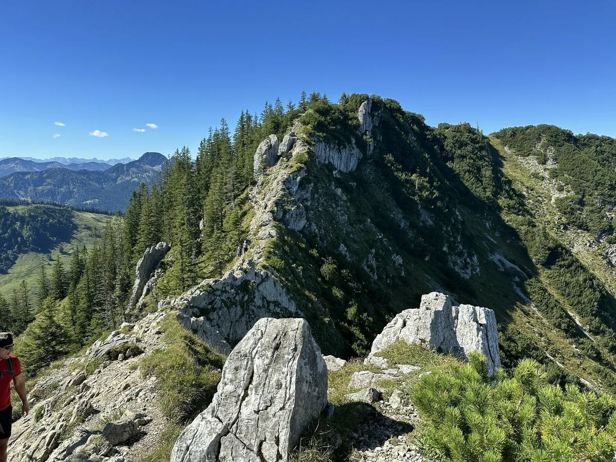 Eine felsige, teils bewaldete Bergkette zieht sich entlang eines Grates unter einem klaren blauen Himmel. Eine kleine Person in rotem Oberteil ist links unten am Grat zu erkennen.