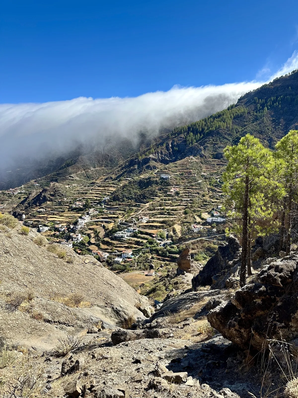 In dem bergigen Gelände rund um den Roque Nublo sind Terrassenfelder zu sehen, während Wolken über die Hänge ziehen.