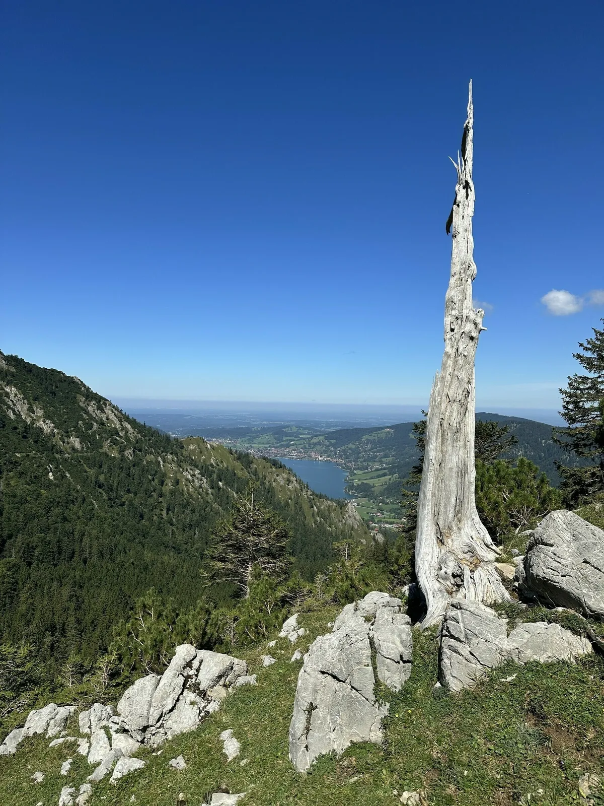 Ein hoher, verwitterter, weißgrauer Baumstumpf steht im Vordergrund auf einem steinigen Bergplateau. Im Hintergrund öffnet sich der Blick auf ein weites, grünes Tal mit einem See und bebauten Flächen unter einem strahlend blauen Himmel.