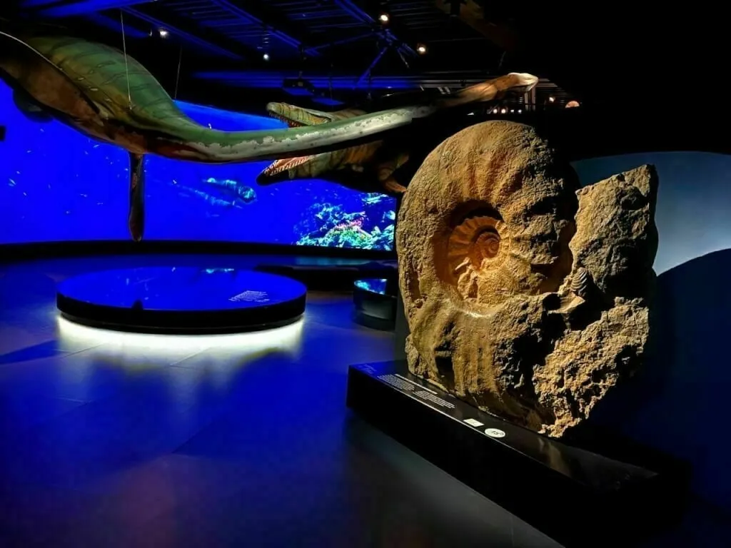 Saurier-Ausstellung im Rosenheimer Lockschuppen