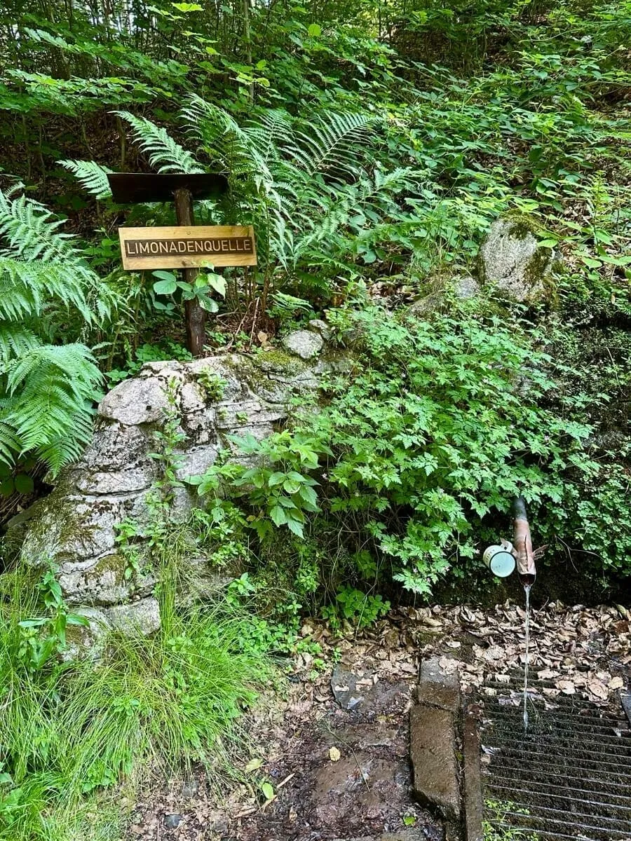 Ein Waldweg mit einem Schild, das Limonadenquelle sagt, und einer Wasserquelle, aus der Wasser fließt.
