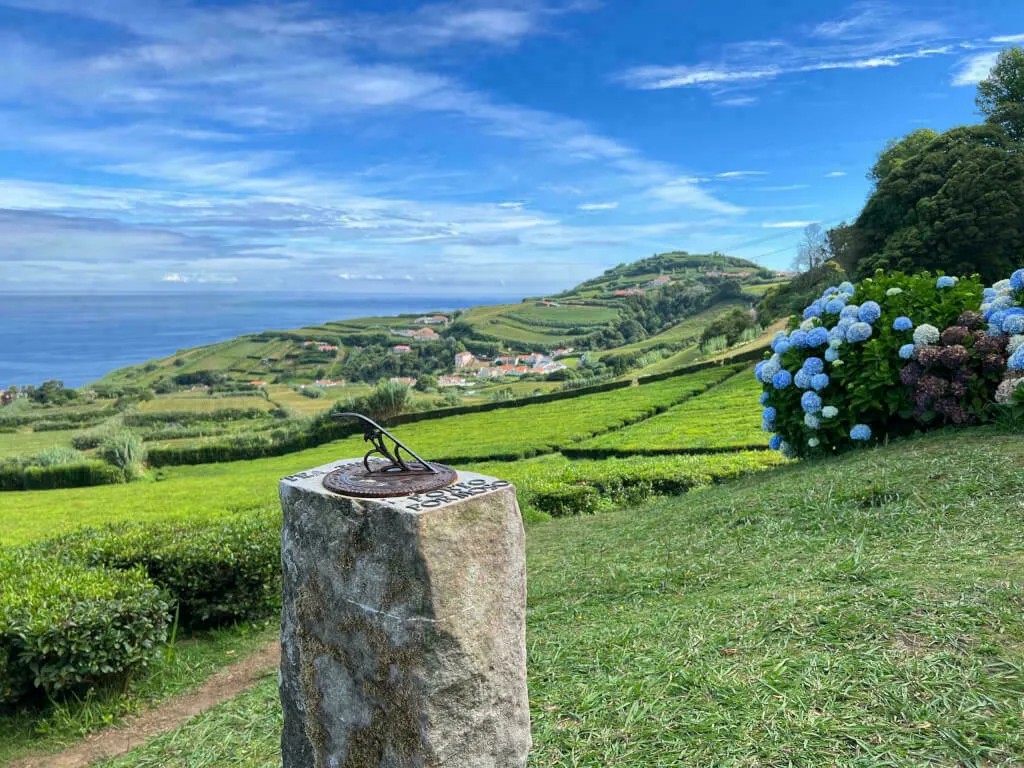 Ausblick über eine Teeplantage mit den, für die Azoren so typischen Hortensien, auf den Atlantik.
