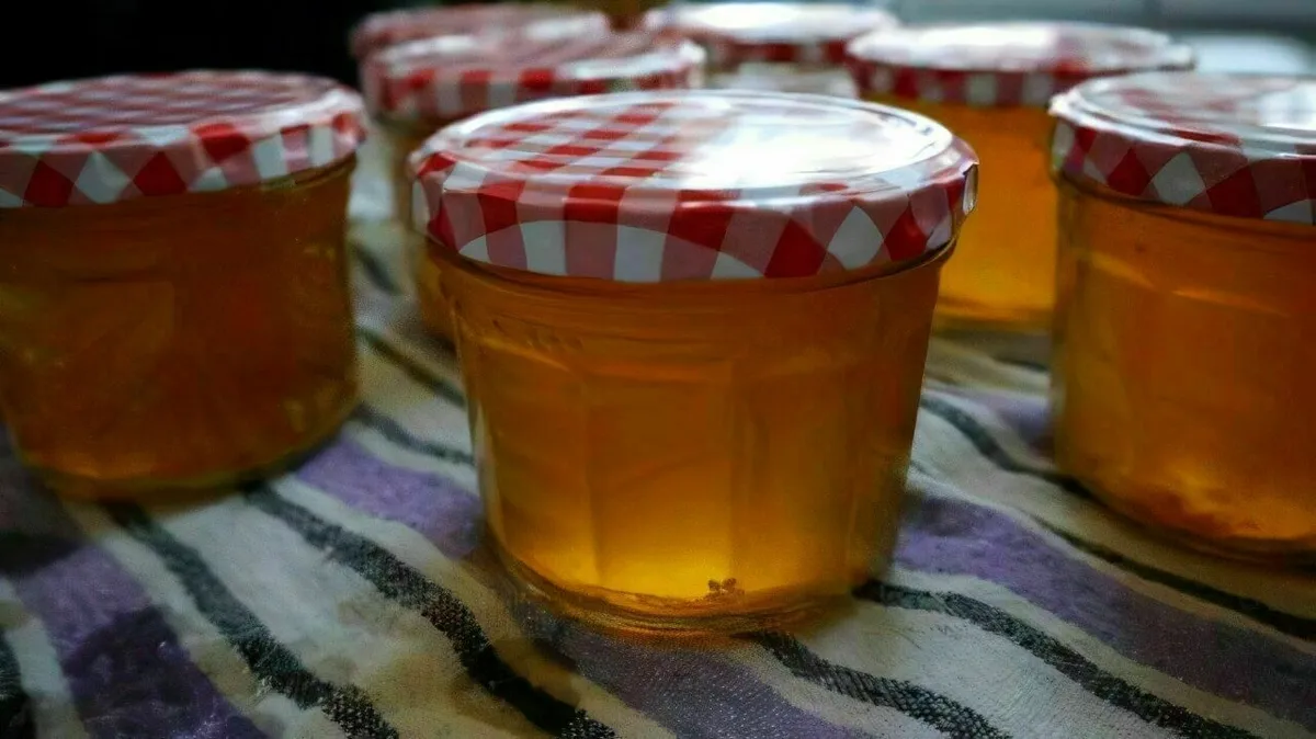 Frisches Holunderblütengelee im Marmeladenglas