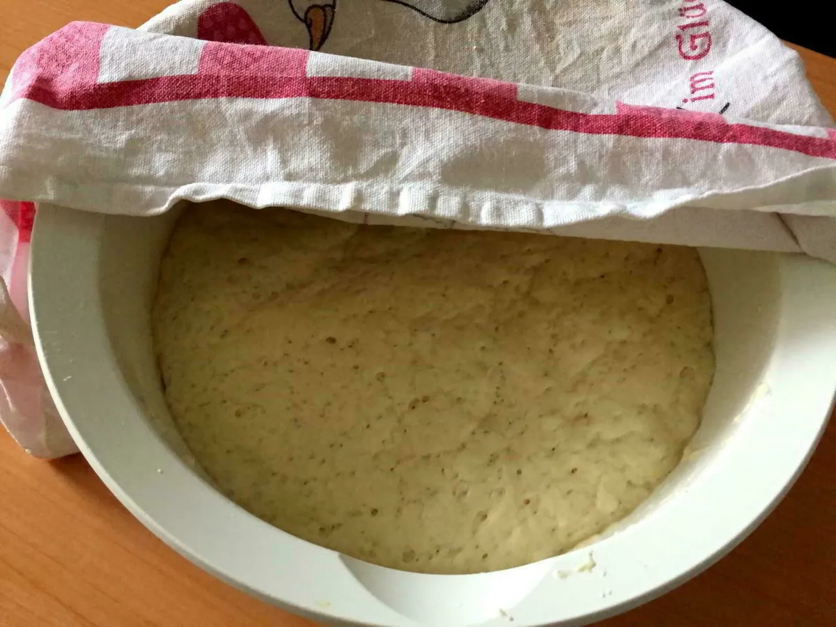 Pizzateig in einer halb angedeckten Schüssel