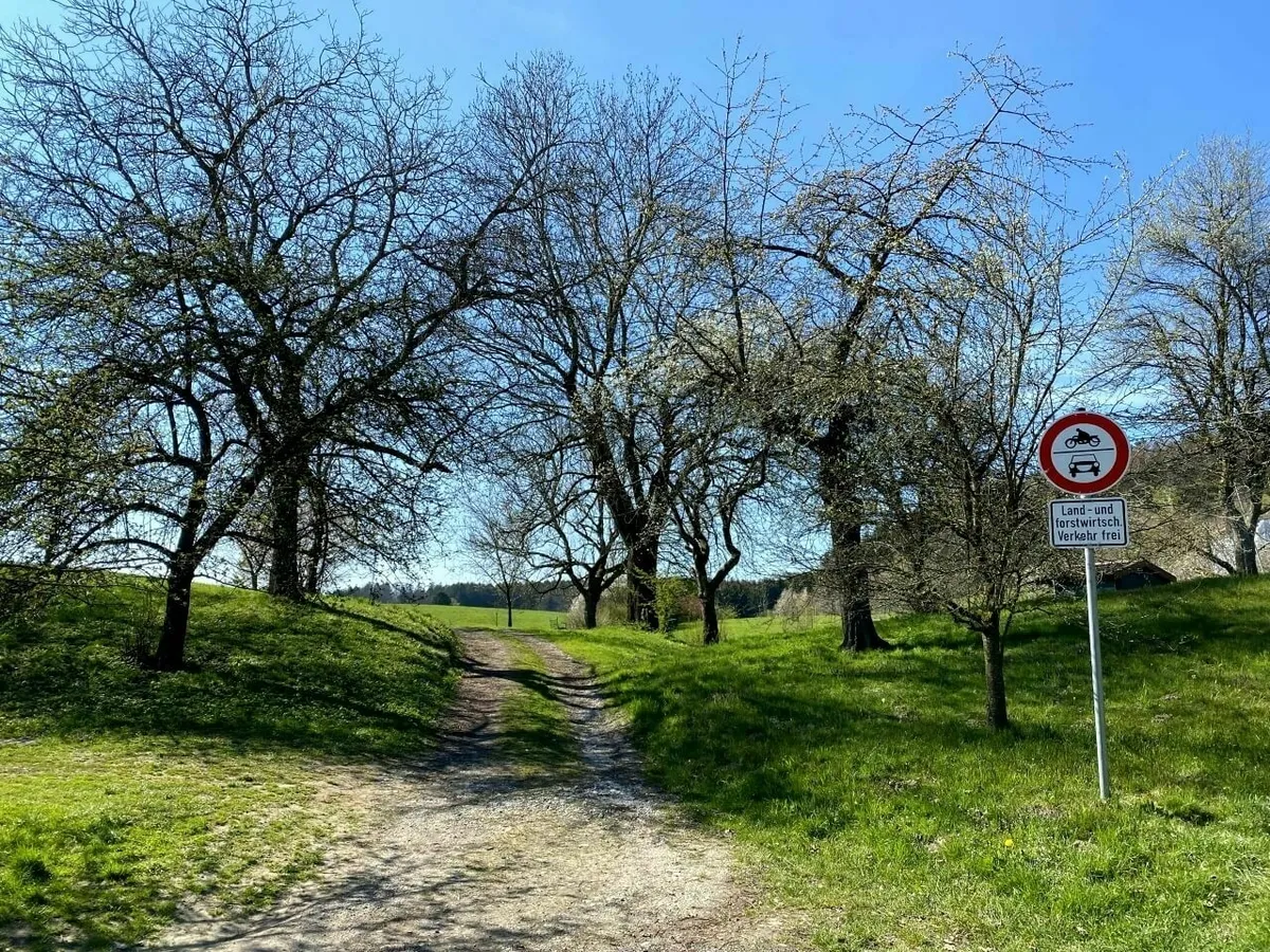 Feldweg, der bergauf durch eine Reihe von kahlen Obstbäumen und auf einer grünen Wiese führt, mit einem Verkehrsschild (Land- und Forstwirtschaft frei) auf der rechten Seite.