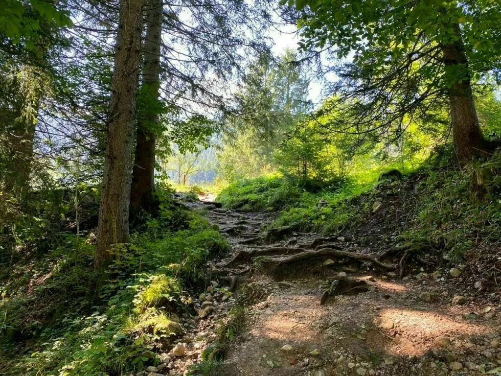 Aufstieg zur Wirtsalm