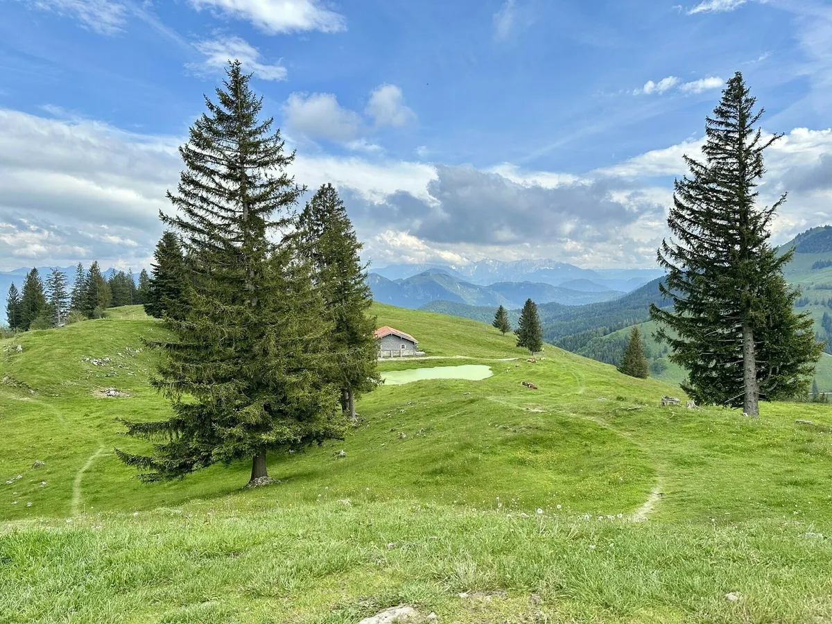 Eine Almwiese auf einem Hügel in den Voralpen mit großen Nadelbäumen. In der Mitte steht eine kleine Hütte neben einem grünen Teich. Im Hintergrund erstrecken sich grüne Hügel und Berge, mit schneebedeckten Gipfeln in der Ferne unter einem bewölkten blauen Himmel.