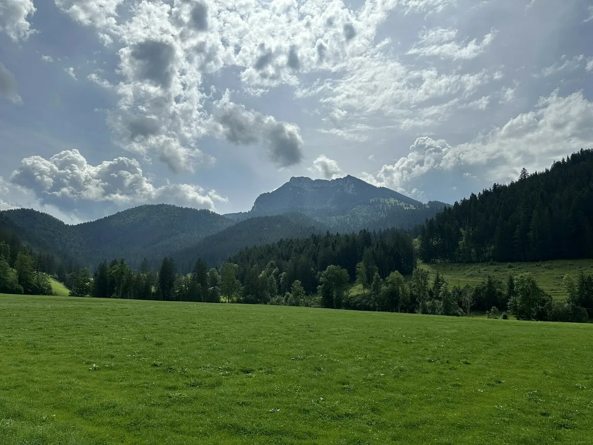 Eine weite, saftig grüne Bergwiese im Vordergrund. Dahinter erstreckt sich ein dichter Nadelwald vor einer Kette von dunklen, bewaldeten Hügeln und einem großen, felsigen Berggipfel in der Mitte. Der Himmel ist hell mit großen, weißen Cumuluswolken.