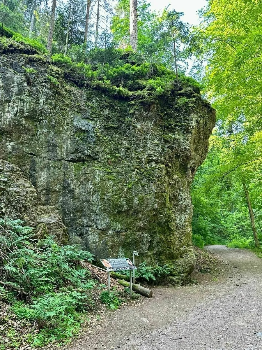 Ein steiniger Pfad führt an einer mit Moos bewachsenen Felswand im Wald vorbei, neben der sich ein Informationsschild befindet.