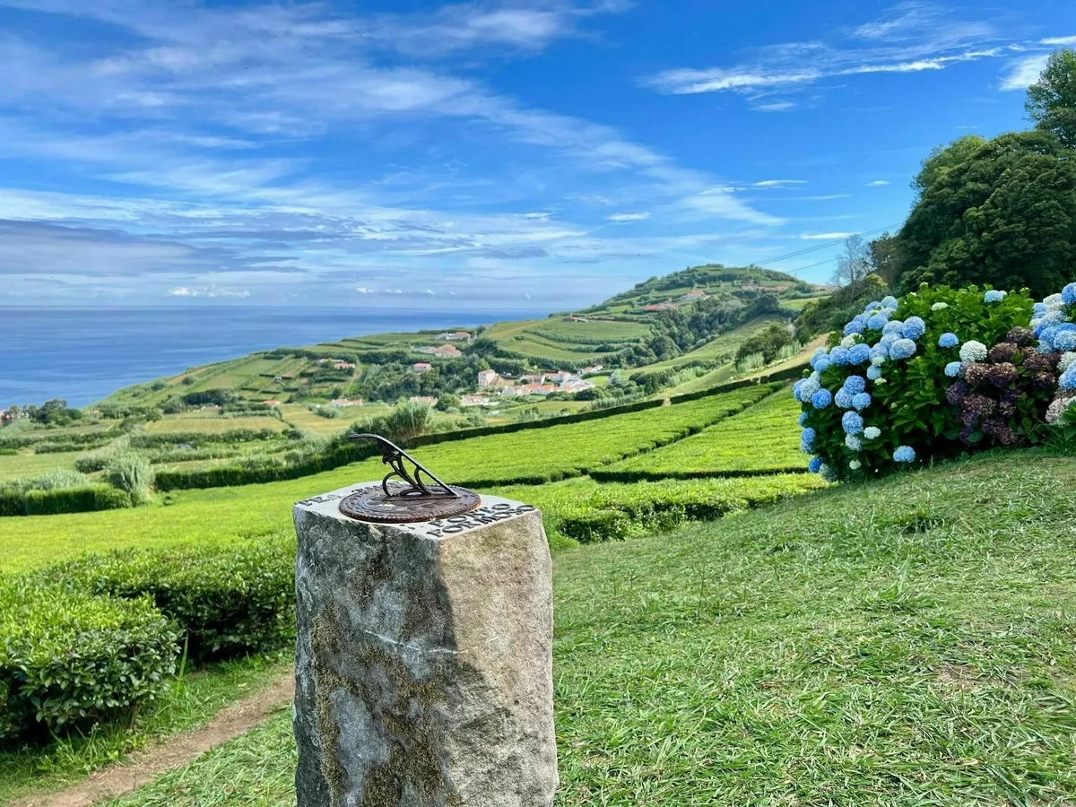 Eine Sonnenuhr steht auf einem Stein in einer grünen Teeplantage und Hortensienblüten auf der Azoren-Insel São Miguel, während im Hintergrund das Meer sichtbar ist.