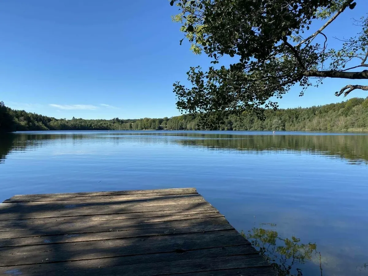 Ruhiger, blauer See mit Holzanlegesteg und dicht bewaldeten Ufern.