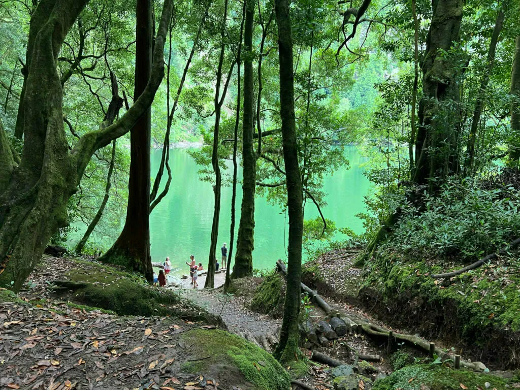 Blick auf das herrlich grüne Wasser des Lagoa do Congro, mitten im Wald.