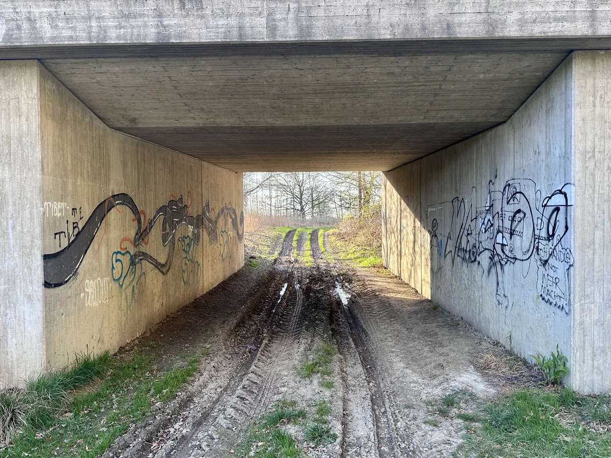 Ein betonierter Durchgang mit grauen Wänden, die mit verschiedenen Graffiti bemalt sind. Auf der gegenüberliegenden Seite sieht man einen schmalen, matschigen Weg, der in ein bewaldetes Gebiet führt.
