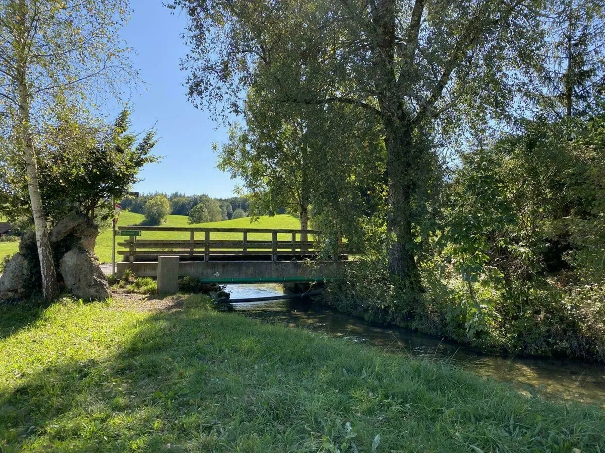 Kleine Holzbrücke über einen Bach, umgeben von grünen Wiesen und Bäumen.