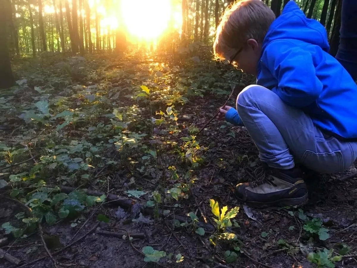 Ein Kind spielt im Wald, während die Sonnenstrahlen durch die Bäume kitzeln