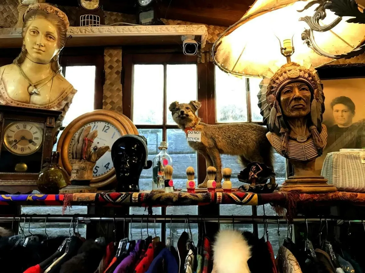 Skuriler Laden im Topanga-Canyon