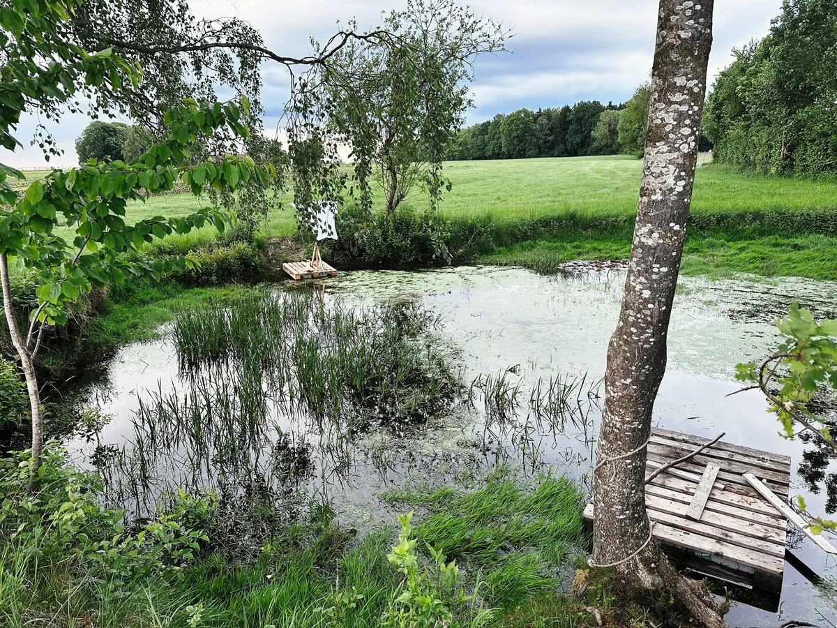 Ein ruhiger Teich ist von üppigem, grünem Gras umgeben. An einem Ufer steht ein Baum, während auf der gegenüberliegenden Seite eine kleine Plattform aus Holz zu sehen ist. Einige Wasserpflanzen sind im Teich sichtbar, und die Umgebung wirkt friedlich und ländlich.