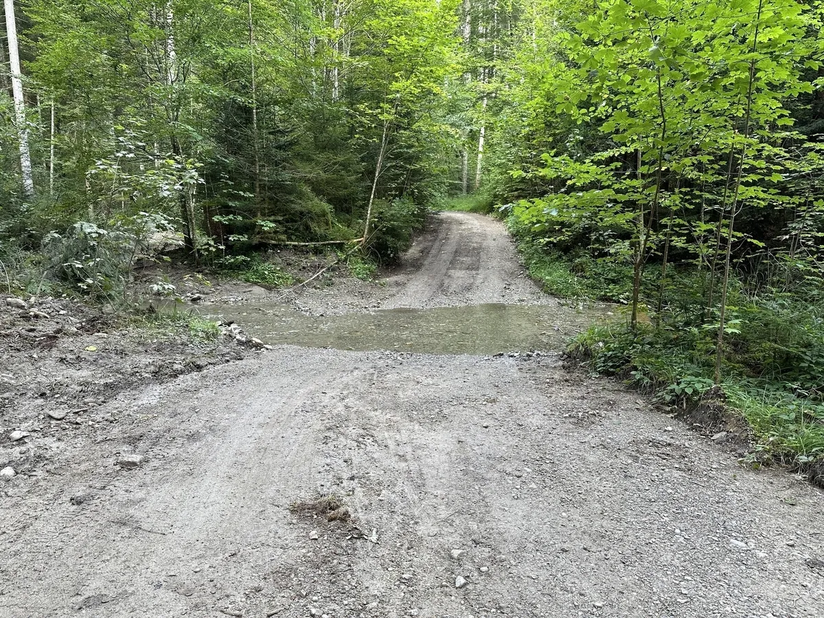 Ein unbefestigter Waldweg, der durch einen kleinen, schlammigen Wasserlauf oder eine Pfütze führt, umgeben von dichtem, grünem Laubwald.
