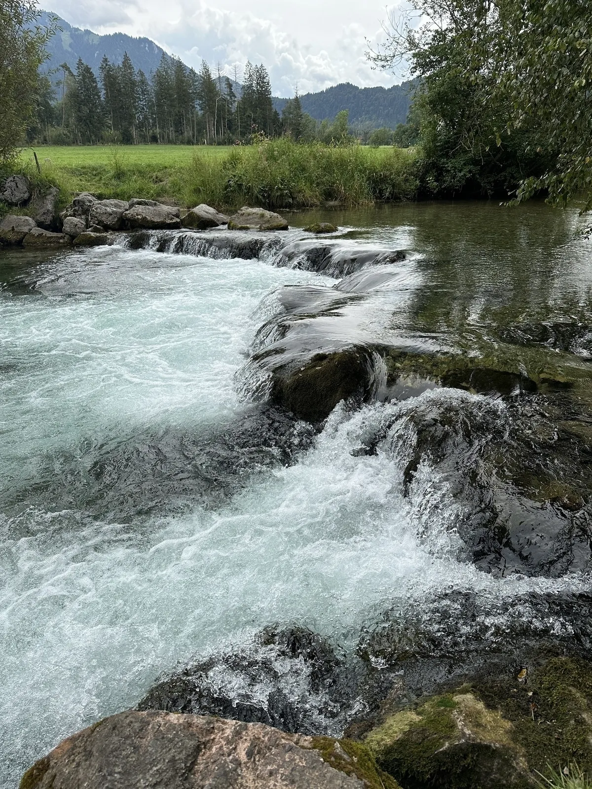Eine Nahaufnahme eines klaren Flusses, der über eine Reihe von flachen, moosbedeckten Steinen stürzt und dabei weiß schäumende Gischt erzeugt. Im Hintergrund sind grüne Wiesen und bewaldete Berge zu sehen.