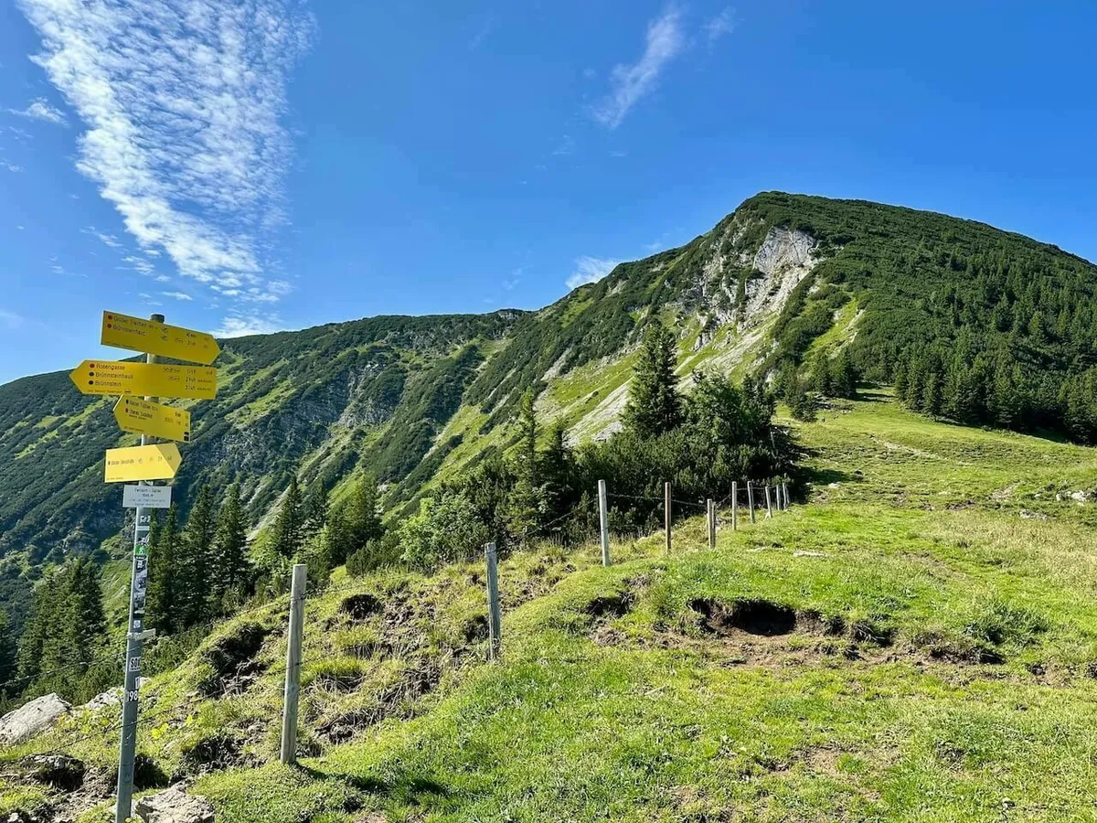 Gelber Wegweiser auf einer grünen Bergwiese neben einem Zaun, blickt auf den steilen, bewaldeten Hang des Traithen-Gipfels