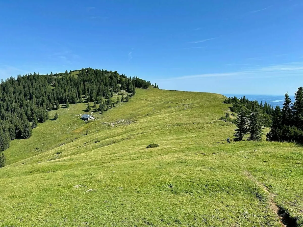 Sanft abfallende, grasbewachsene Bergflanke mit einem Wanderweg, der zu einer kleinen Almhütte und einem Waldstück führt