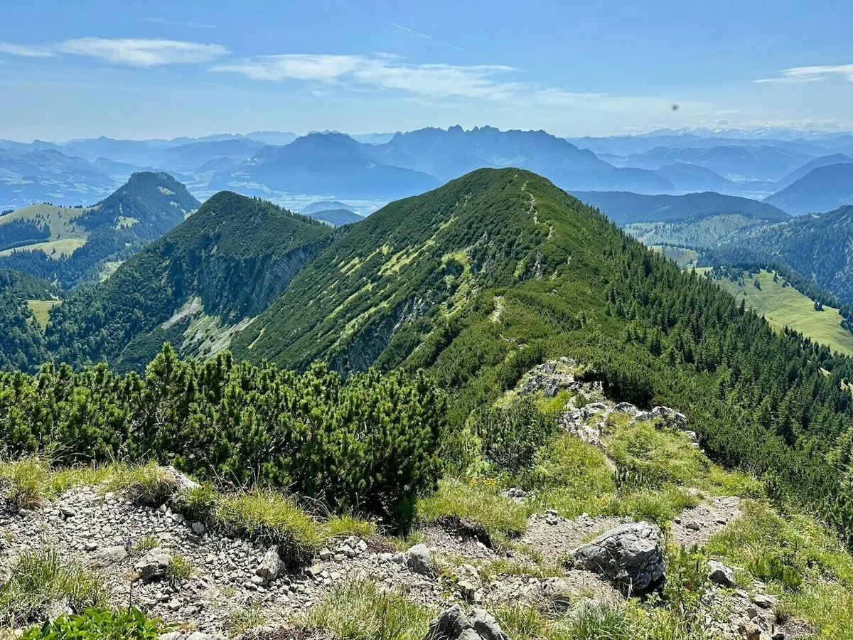 Blick vom felsigen Gipfelkamm mit Latschenkiefern auf einen bewaldeten Bergrücken und eine weite Gebirgskette im Hintergrund (Traithen)