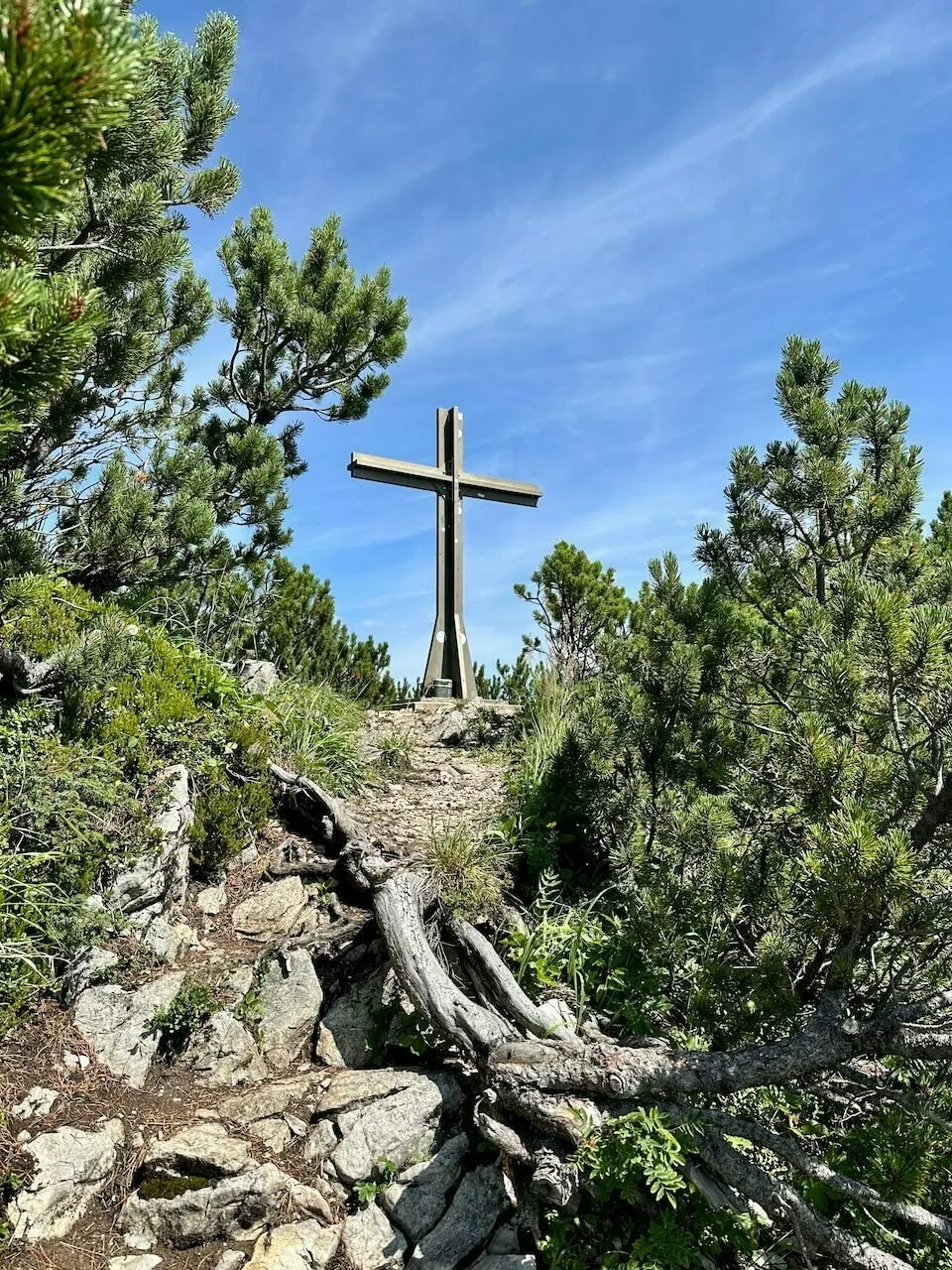 Massives Holzkreuz auf dem Gipfel, umgeben von dichten Latschenkiefern und Felsen, vor strahlend blauem Himmel