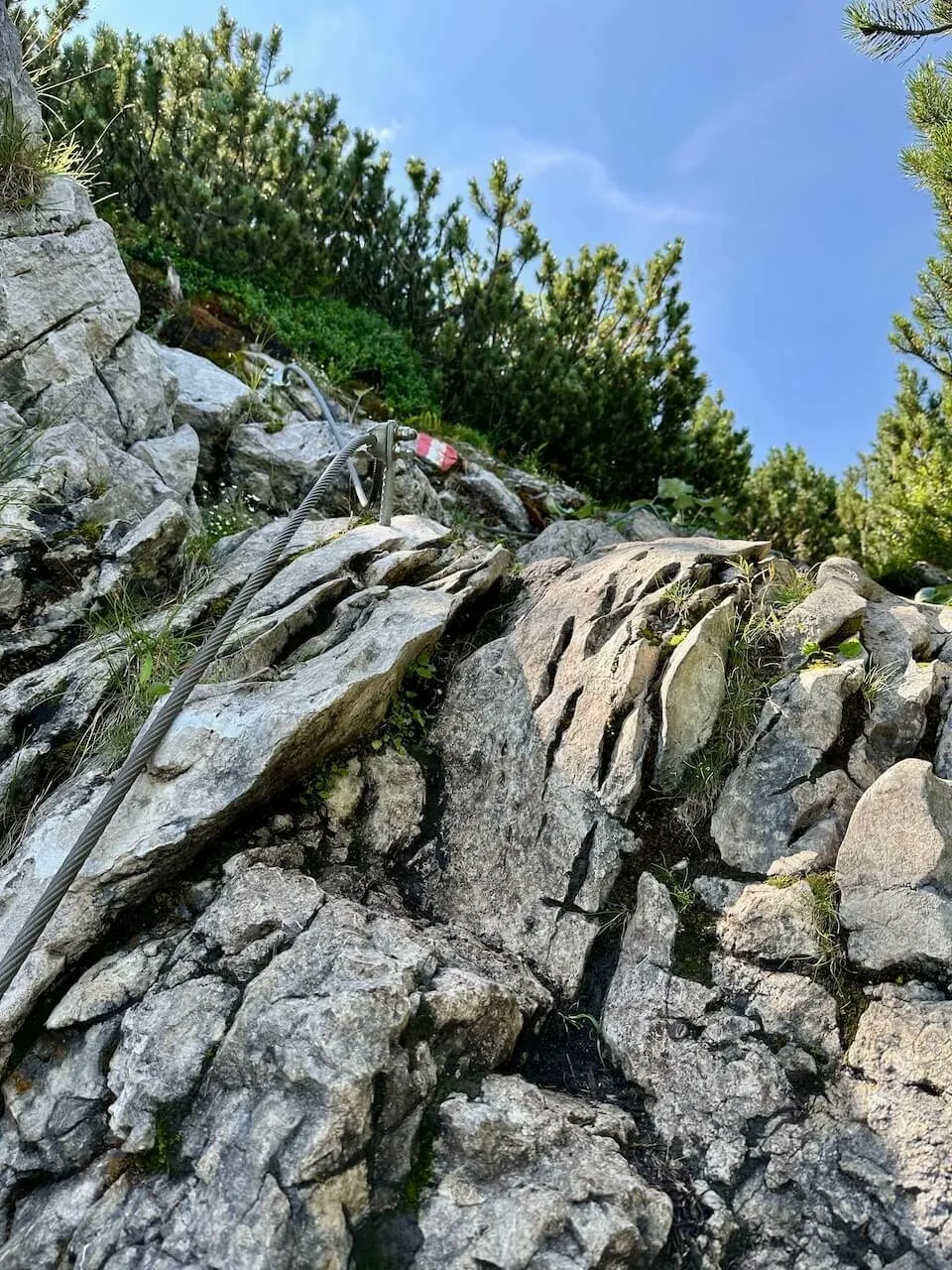 Nahaufnahme eines steilen Klettersteig-Abschnitts mit einem gespannten Drahtseil als Sicherung vor zerklüftetem Fels und Latschenkiefern