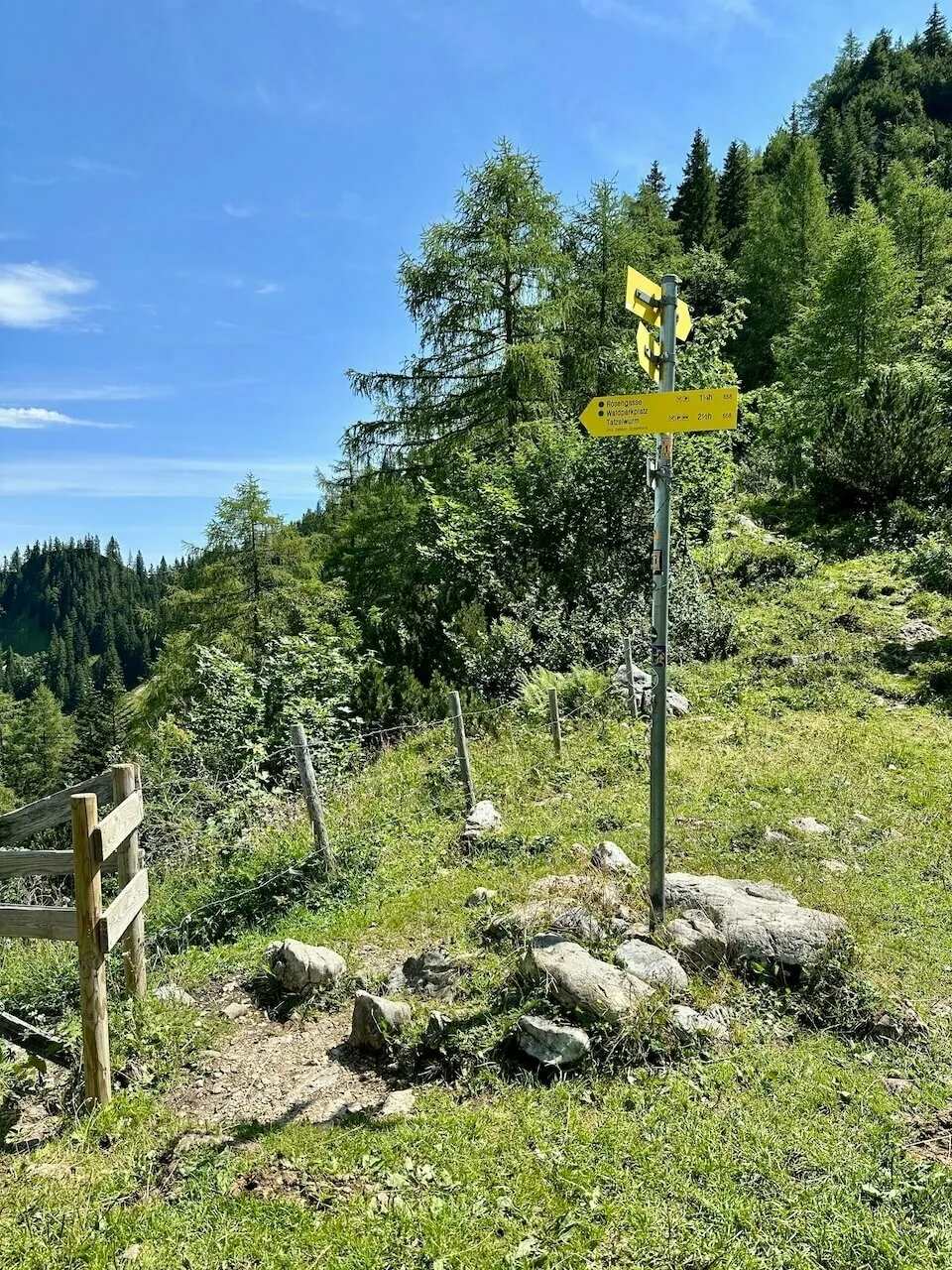 Gelber Wegweiser am Waldrand auf einer Bergwiese, umgeben von Felsen und einem einfachen Holzzaun