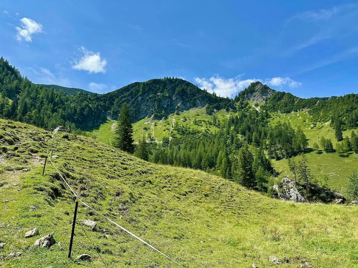 Weite, steile grüne Bergwiese mit einer einfachen Zaunbegrenzung und einem Wanderpfad, der zu einem bewaldeten Bergkamm führt