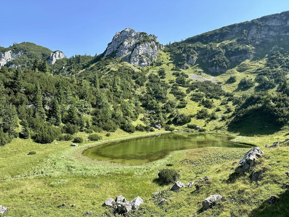 Der Soinsee liegt eingebettet in einer grünen Almlandschaft mit bewaldeten Hügeln und felsigen Bergen im Hintergrund.
