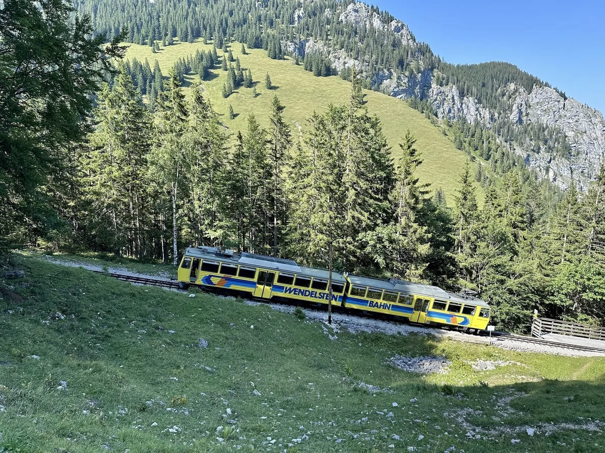 Eine gelbe Wendelsteinbahn fährt durch eine bewaldete Berglandschaft.
