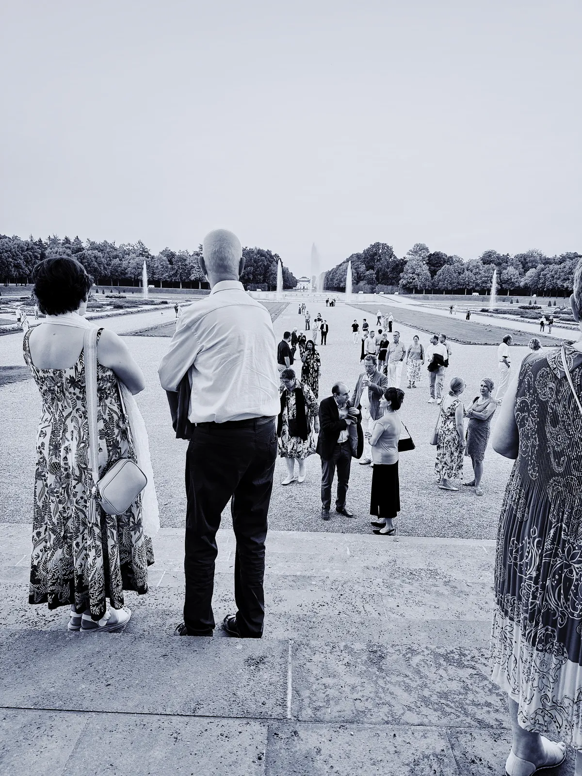 Eine Gruppe von Menschen steht in einem offenen, weitläufigen Parkbereich mit Bäumen im Hintergrund.