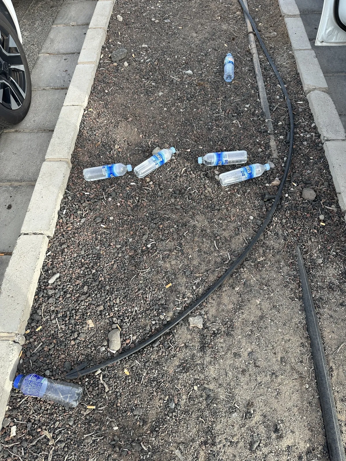 Mehrere Plastikflaschen liegen auf dem Boden entlang eines schwarzen Kabels in einem staubigen Bereich neben einem Bordstein.