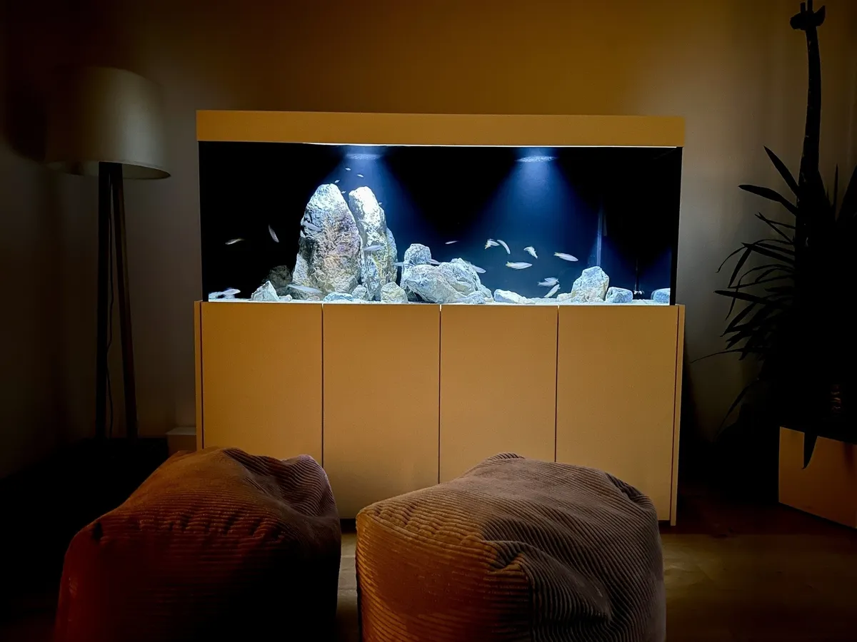 Ein beleuchtetes Aquarium mit Fischen steht auf einem weißen Schrank in einem gemütlich eingerichteten Raum mit Pflanzen und Lampen.