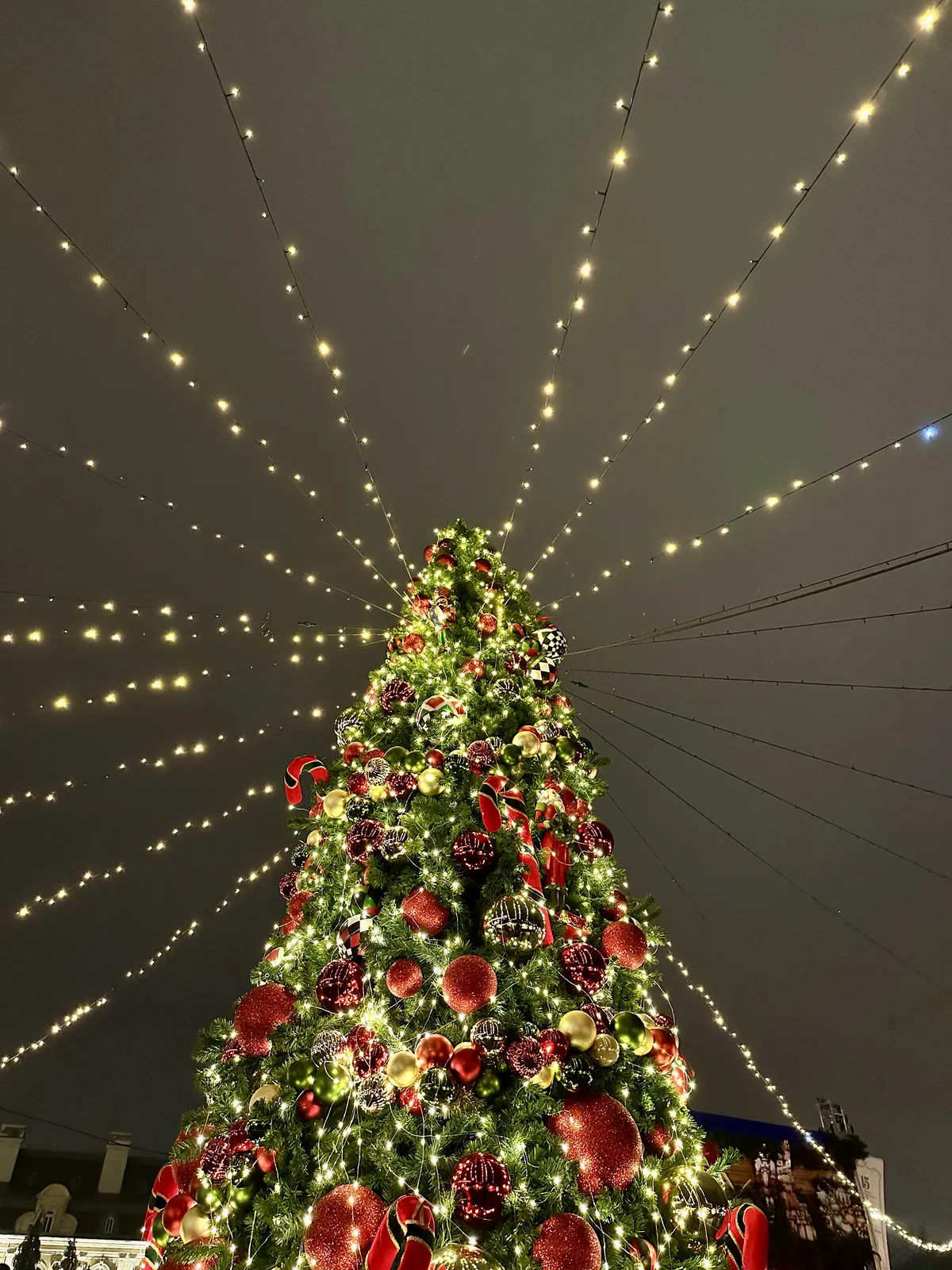 Der festlich beleuchtete Weihnachtsbaum auf dem deutschen Weihnachtsmarkt in Sofia