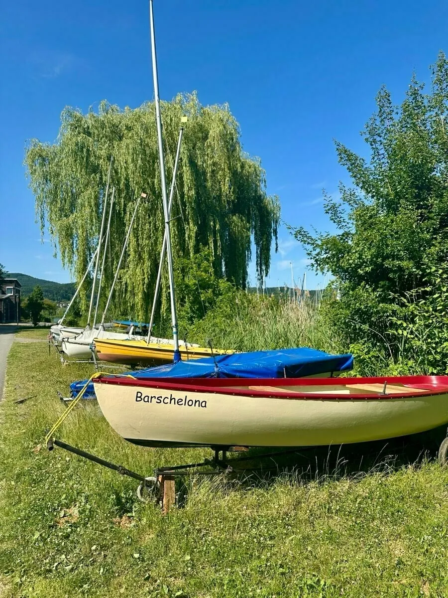 Mehrere kleine Boote stehen auf einem grünen Rasen neben einem Baum und Büschen unter klarem Himmel.