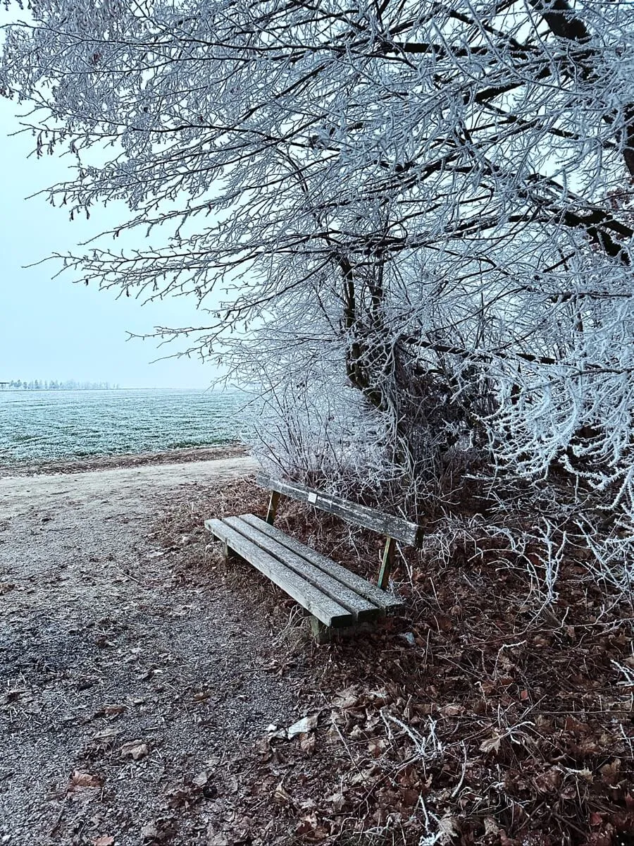 Eine leere Holzbank steht auf einem frostigen Weg, umgeben von einem frostbedeckten Baum und einer gefrorenen Landschaft im Hintergrund. Die Äste sind mit Eis überzogen, was eine ruhige, winterliche Atmosphäre schafft.