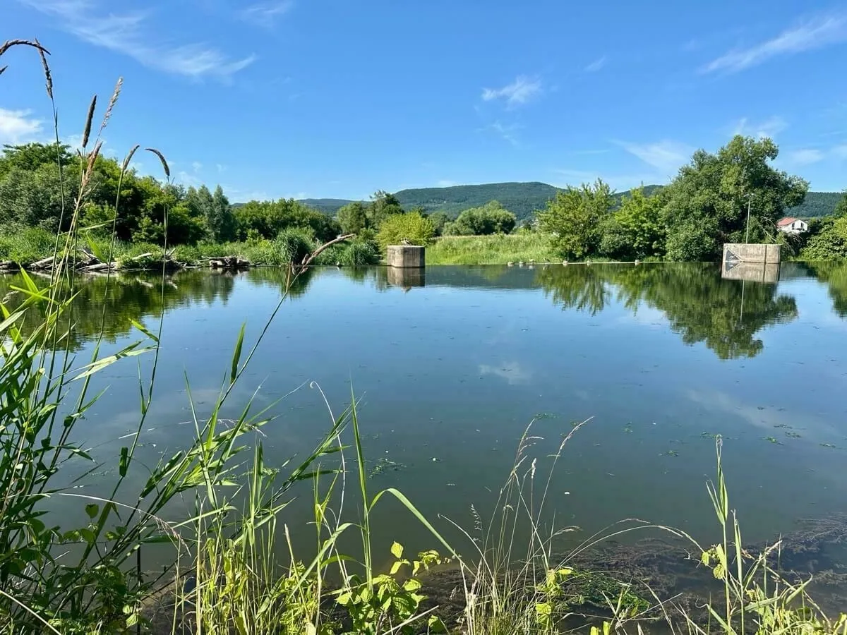 Das Wehr am Werrakanal mit umgebender Vegetation und klarer Spiegelung des blauen Himmels und der Bäume im Wasser.