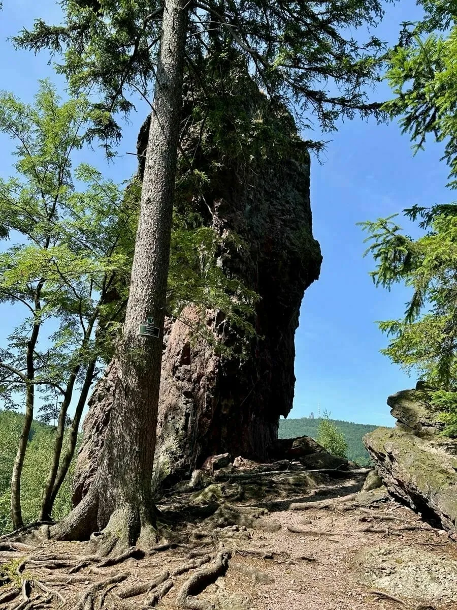 Ein großer Felsen ragt zwischen Bäumen in einer bewaldeten Landschaft empor.