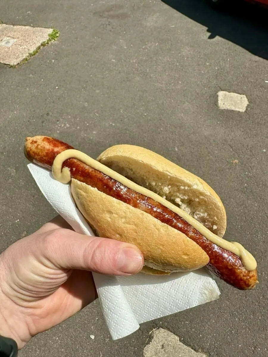 Eine Person hält eine Bratwurst im Brötchen mit Senf.