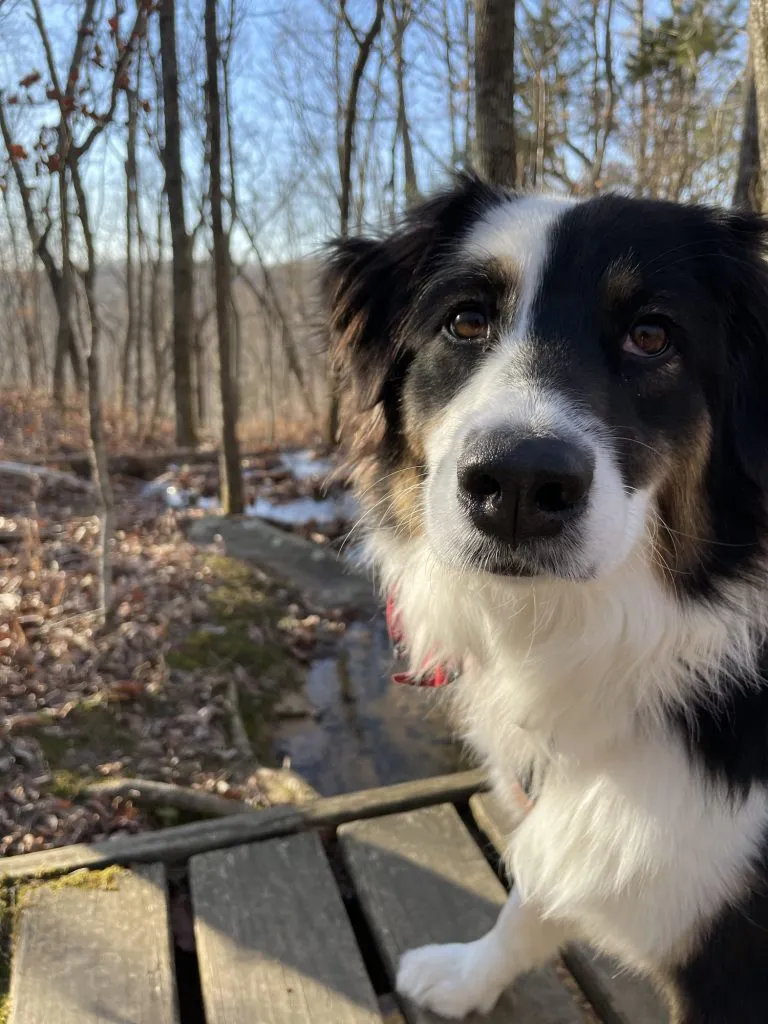 Roci hiking