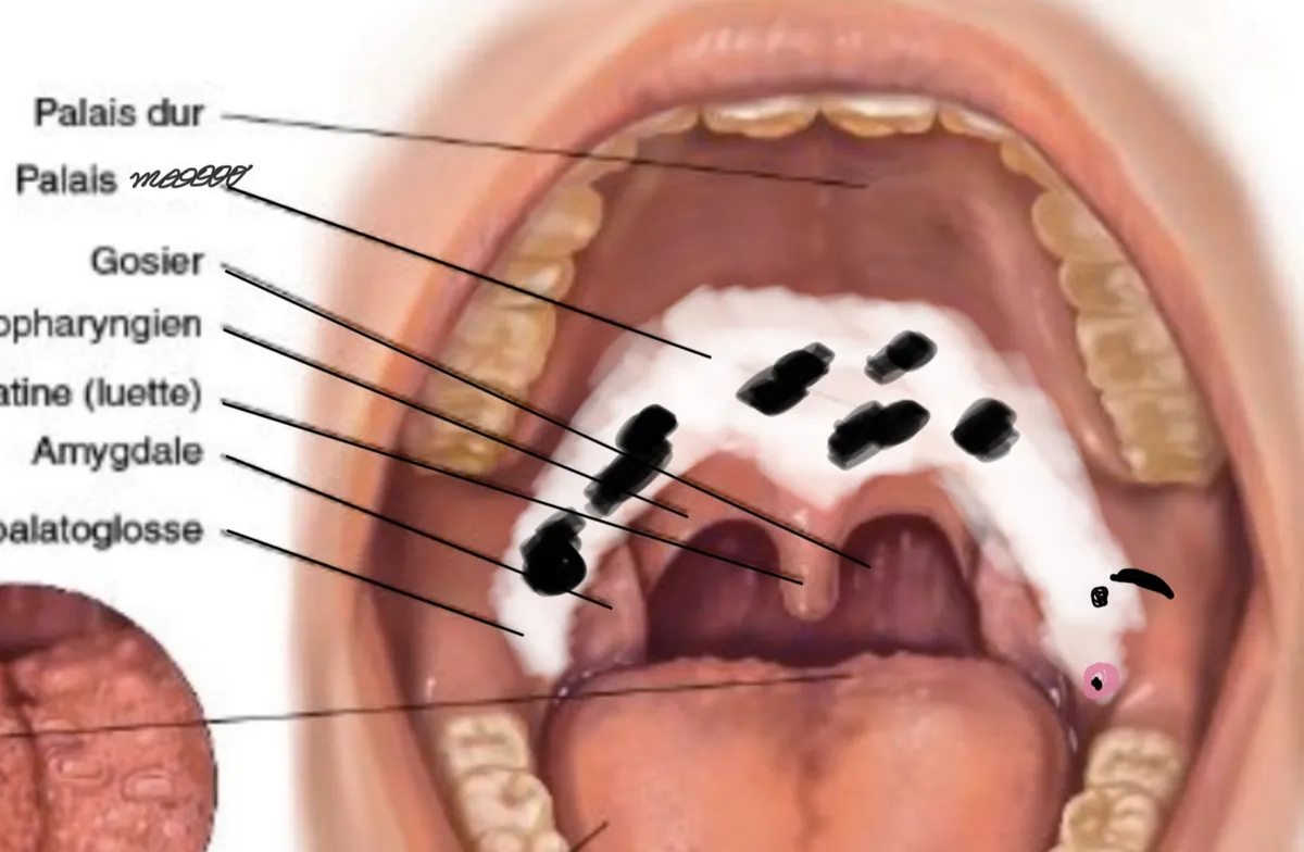moooooooooooo