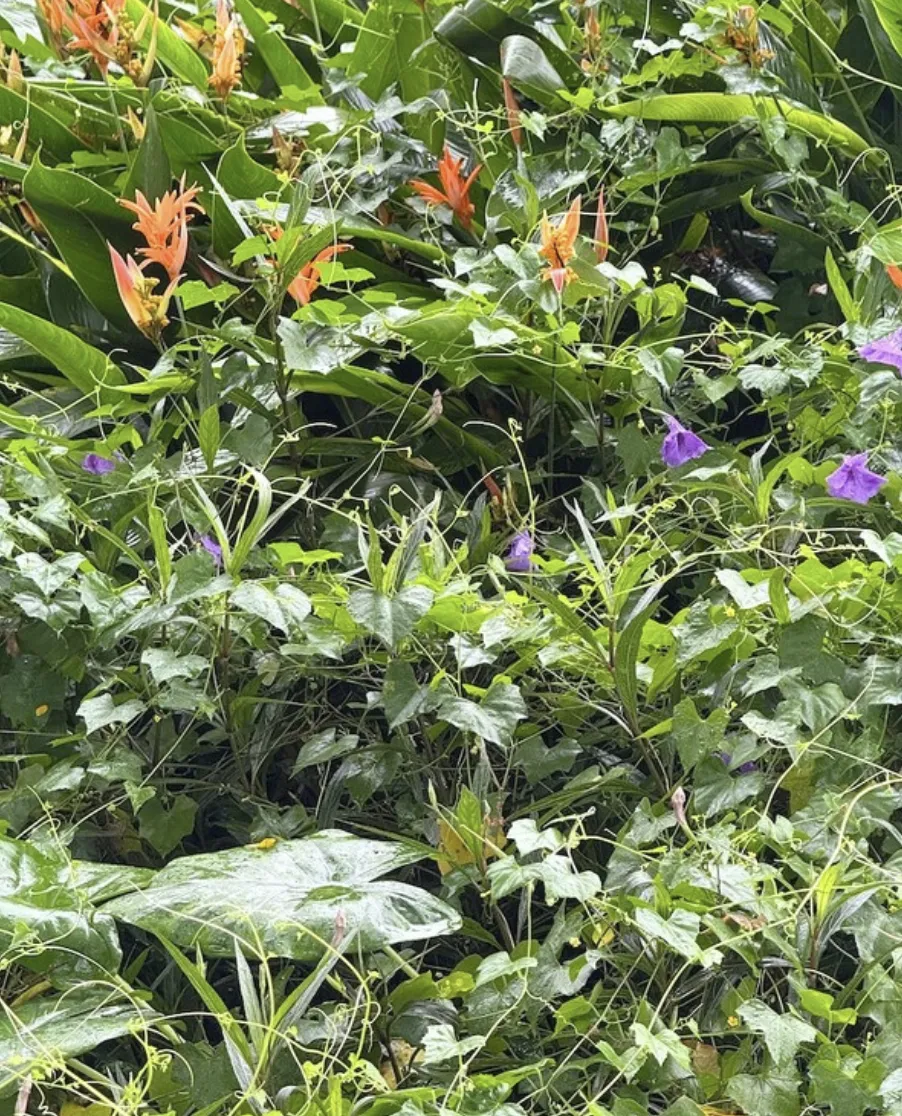 fbtm-inversioncolour