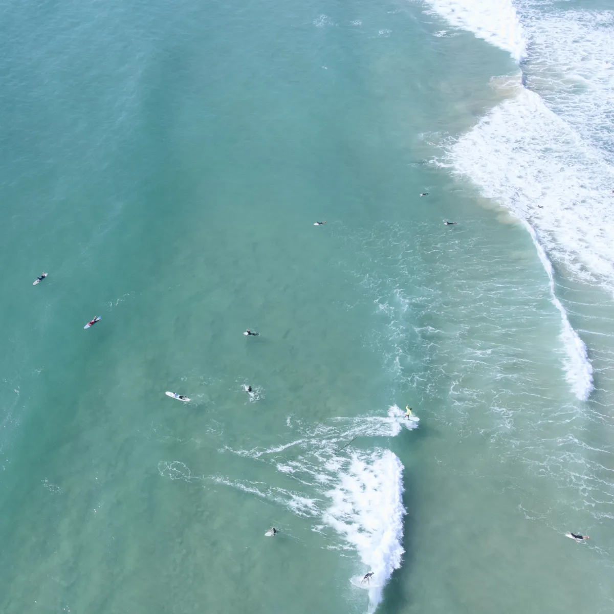 Surfers