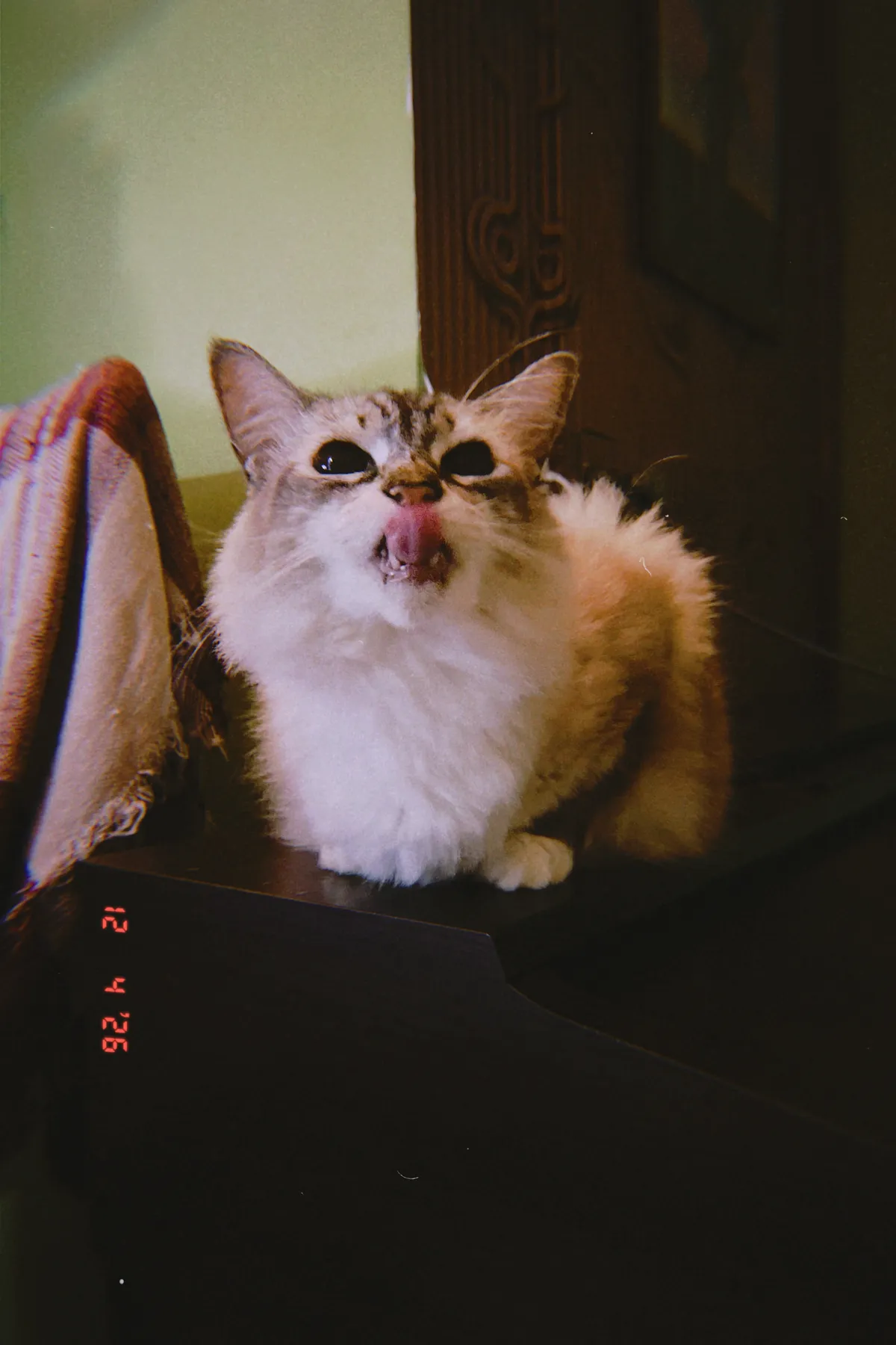 ct2f 2026-04-12 20472590FEA8ABE133