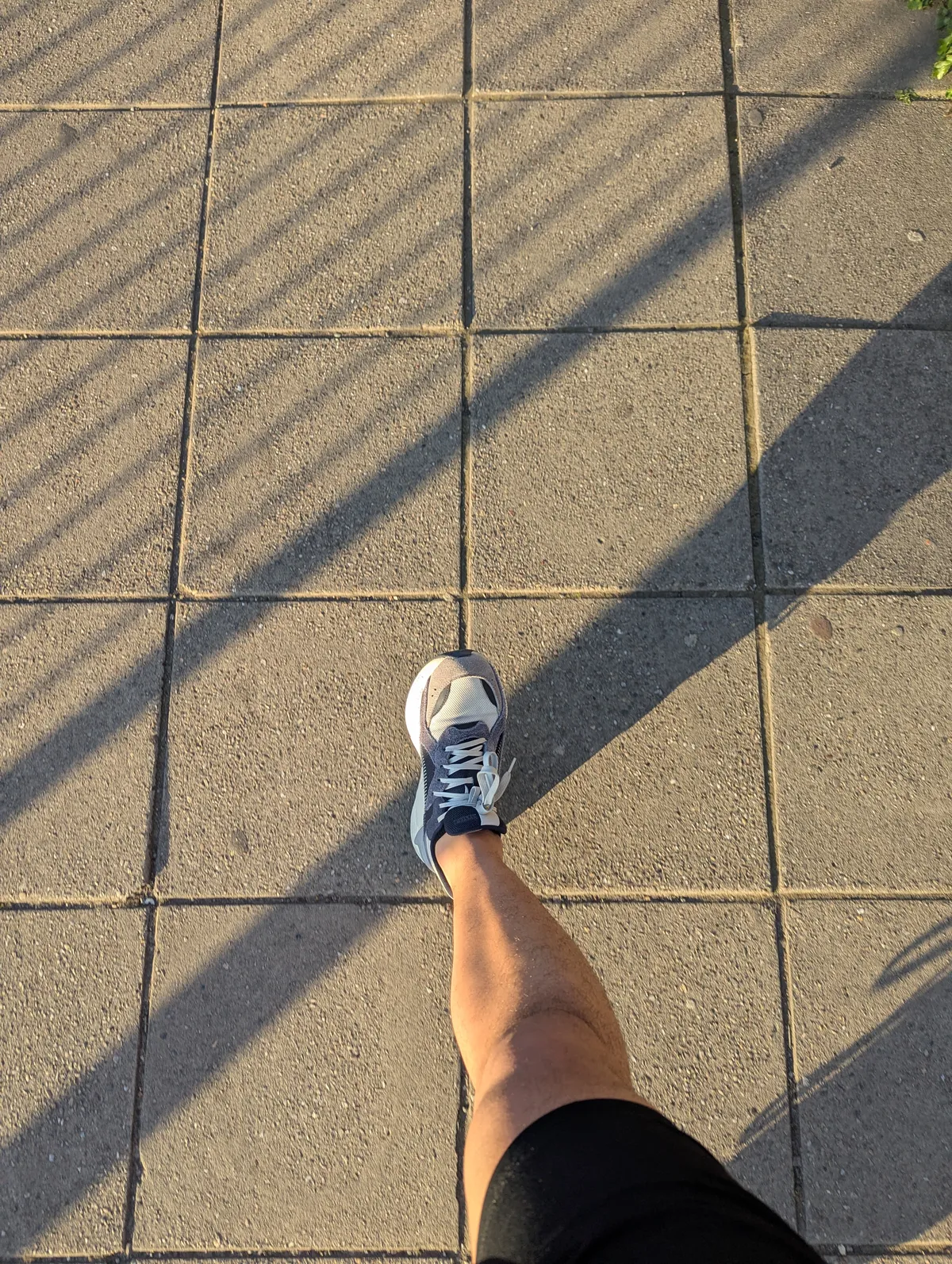 PXL_20260413_175020526