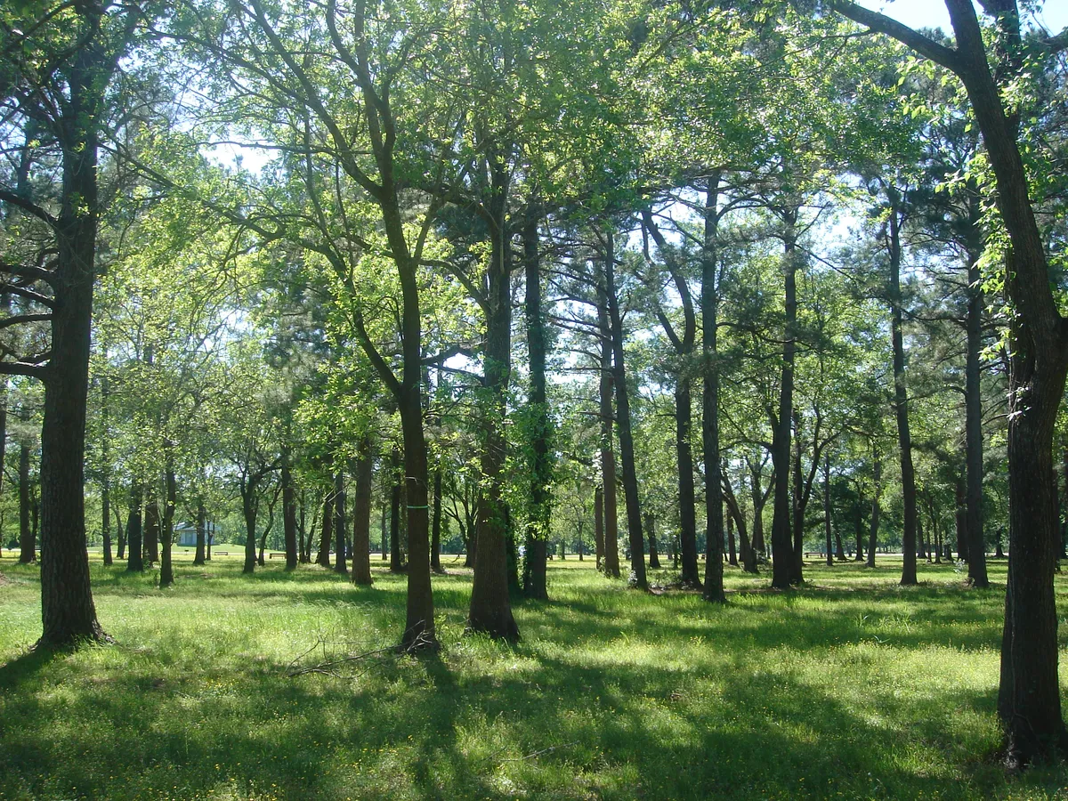 DSC00716